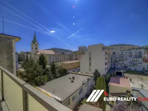 Prodej vícegeneračního domu, Zlín, třída Tomáše Bati, 1023 m2