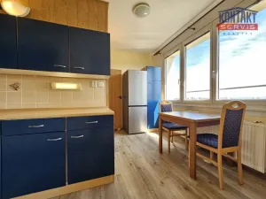 Pronájem bytu 1+1, České Budějovice - České Budějovice 2, 41 m2