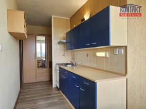 Pronájem bytu 1+1, České Budějovice - České Budějovice 2, 41 m2