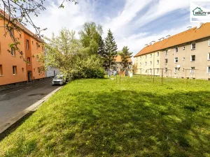 Prodej bytu 2+1, Cheb, Riegerova, 41 m2