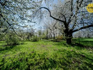 Prodej pozemku pro bydlení, Vratimov, Na Podlesí, 2165 m2