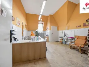Prodej obchodního prostoru, Liberec, Tanvaldská, 1159 m2