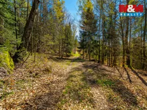 Prodej chalupy, Tanvald - Šumburk nad Desnou, 118 m2