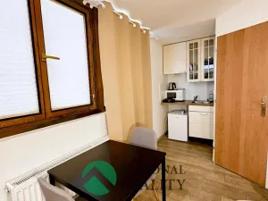 Pronájem ubytování, Praha - Karlín, Křižíkova, 540 m2