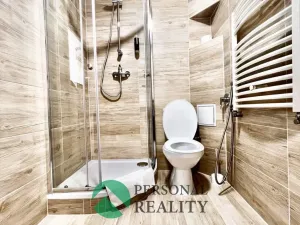 Pronájem ubytování, Praha - Karlín, Křižíkova, 540 m2