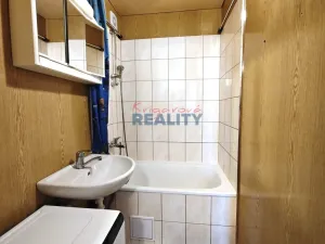 Pronájem bytu 1+1, České Budějovice - České Budějovice 2, Krčínova, 47 m2