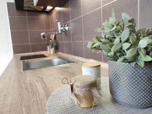 Pronájem bytu 1+kk, Ústí nad Orlicí, Heranova, 20 m2