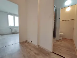 Pronájem bytu 1+kk, Ústí nad Orlicí, Heranova, 20 m2