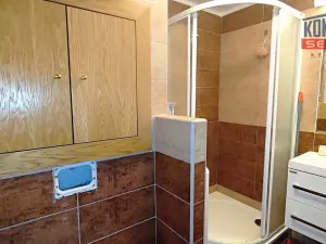 Pronájem bytu 1+1, České Budějovice - České Budějovice 2, Dubenská, 33 m2