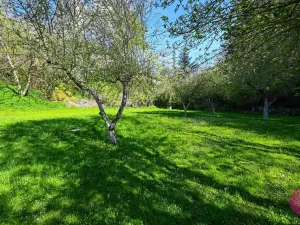 Prodej zahrady, Mírov, 2114 m2