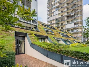 Pronájem bytu 1+kk, Praha - Žižkov, Pitterova, 38 m2