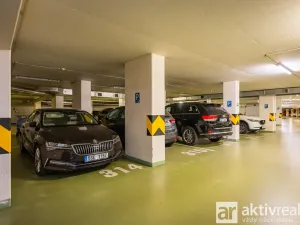 Pronájem bytu 1+kk, Praha - Žižkov, Pitterova, 38 m2