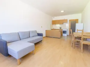 Pronájem bytu 1+kk, Pardubice - Zelené Předměstí, Jana Palacha, 30 m2