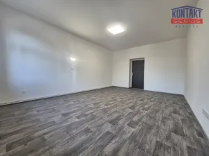 Pronájem bytu 2+1, České Budějovice, Mánesova, 70 m2