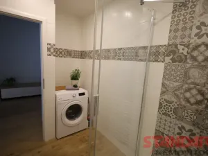 Pronájem bytu 1+1, Plzeň, Solní, 50 m2