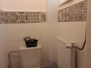 Pronájem bytu 1+1, Plzeň, Solní, 50 m2