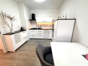 Pronájem bytu 1+1, Brno - Královo Pole, Hrubého, 42 m2