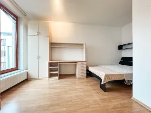 Pronájem bytu 1+kk, Praha - Žižkov, Lukášova, 27 m2