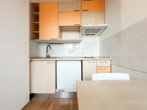 Pronájem bytu 1+kk, Praha - Žižkov, Lukášova, 27 m2