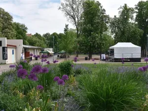 Pronájem bytu 3+kk, Brno, Tábor, 55 m2