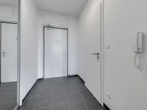 Pronájem bytu 1+kk, Praha - Žižkov, Olgy Havlové, 35 m2