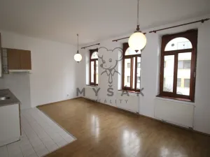 Pronájem bytu 2+kk, České Budějovice, Holečkova, 56 m2