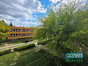 Pronájem bytu 1+1, Orlová, Masarykova třída, 41 m2