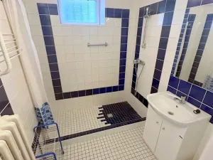 Pronájem vily, Praha - Břevnov, 8. listopadu, 280 m2