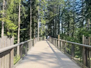 Prodej bytu 2+kk, Vrchlabí - Hořejší Vrchlabí, Horská, 68 m2
