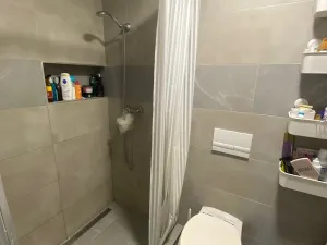Prodej komerční nemovitosti, Bystřice pod Hostýnem, Přerovská, 420 m2