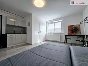 Pronájem bytu 1+kk, Lužná, Nová, 22 m2