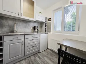 Pronájem bytu 1+kk, Lužná, Nová, 22 m2