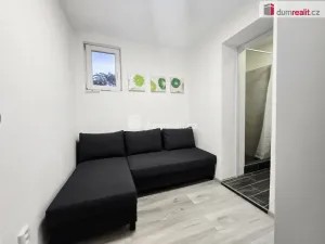 Pronájem bytu 1+kk, Lužná, Nová, 22 m2