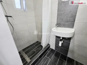 Pronájem bytu 1+kk, Lužná, Nová, 22 m2