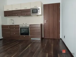Pronájem bytu 1+kk, Plzeň - Východní Předměstí, Božkovská, 34 m2