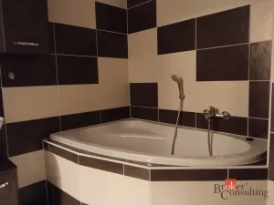 Pronájem bytu 1+kk, Plzeň - Východní Předměstí, Božkovská, 34 m2