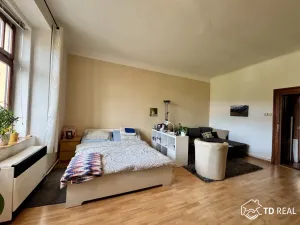 Pronájem bytu 1+1, Brno, Úvoz, 45 m2