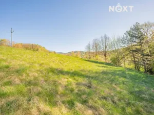 Prodej pozemku pro bydlení, Velké Losiny, 1856 m2
