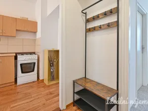 Pronájem bytu 2+1, Brno, Lužná, 55 m2