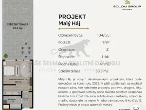 Prodej bytu 1+kk, Praha - Dolní Měcholupy, Honzíkova, 41 m2