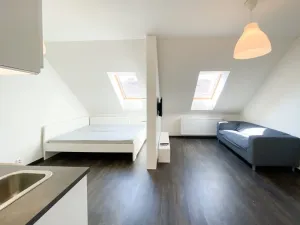 Pronájem bytu 1+kk, Praha - Žižkov, Bořivojova, 35 m2