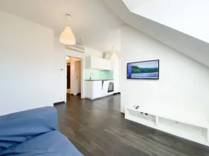 Pronájem bytu 1+kk, Praha - Žižkov, Bořivojova, 35 m2