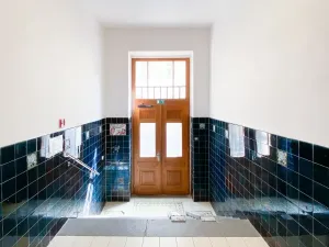 Pronájem bytu 1+kk, Praha - Žižkov, Bořivojova, 35 m2