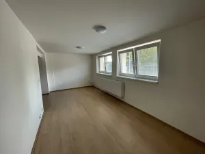 Pronájem bytu 1+kk, Troskotovice, 47 m2