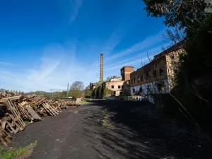 Prodej obchodního prostoru, Povrly - Neštědice, Pod Kozákem, 35000 m2