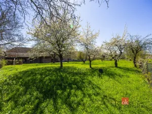Prodej rodinného domu, Trnov, 412 m2
