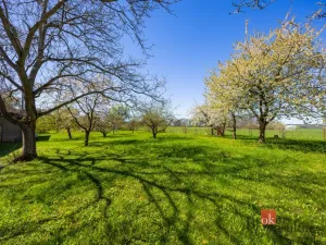Prodej rodinného domu, Trnov, 412 m2