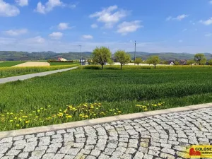 Prodej pozemku pro bydlení, Fryšták, 3940 m2