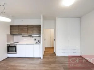 Pronájem bytu 1+kk, Praha - Vinohrady, Lucemburská, 300 m2