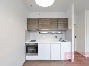 Pronájem bytu 1+kk, Praha - Vinohrady, Lucemburská, 300 m2
